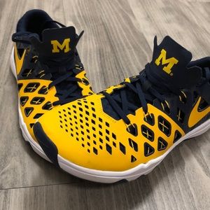 LIKE NEW UMich Nike sneakers